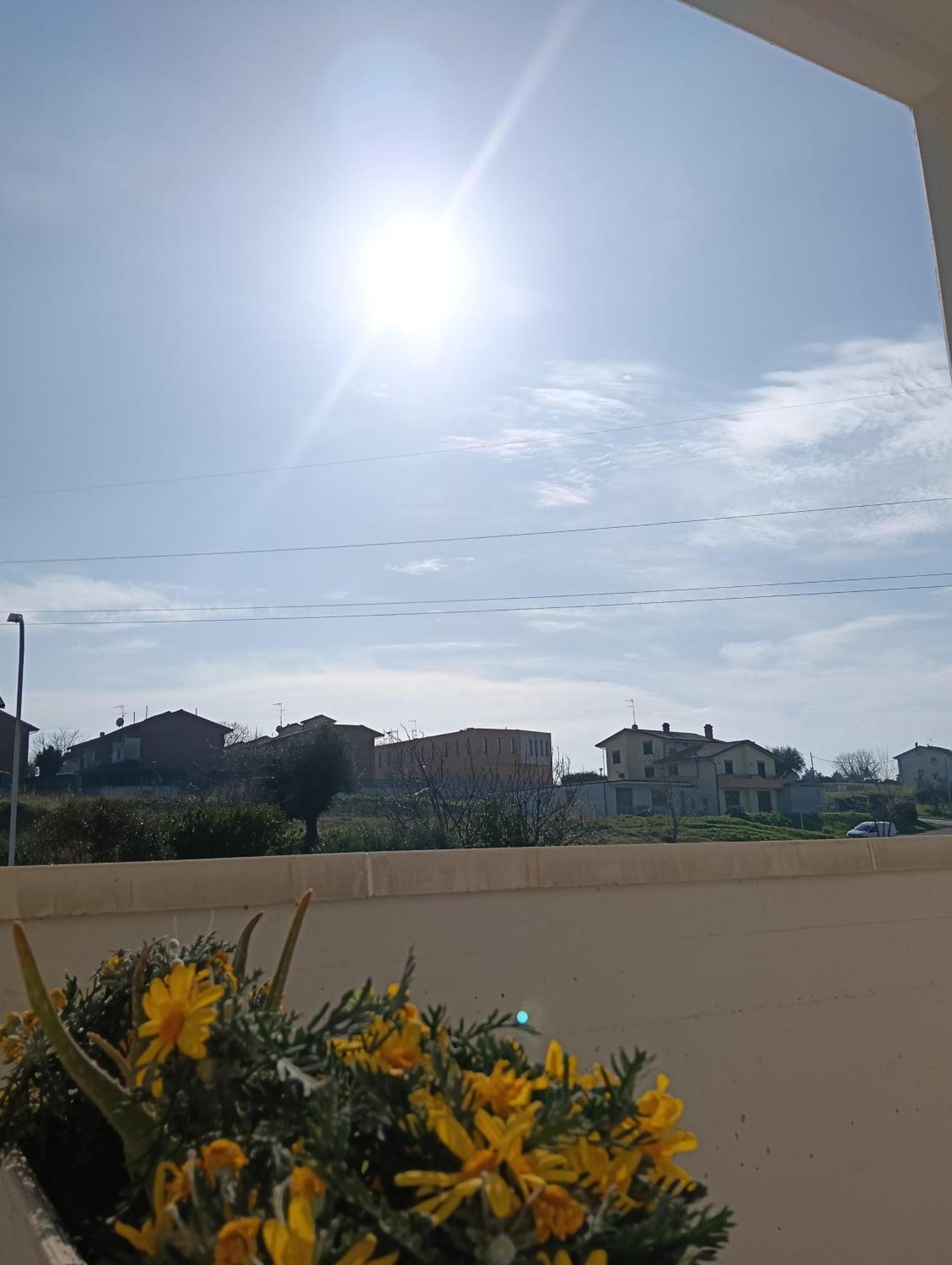 La Principessa Nera B&B Ostra Номер фото